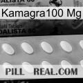 Kamagra100 Mg 44